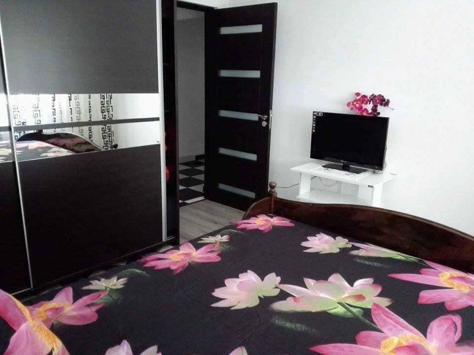 דירות Orşova Apartament Ela Elegance מראה חיצוני תמונה