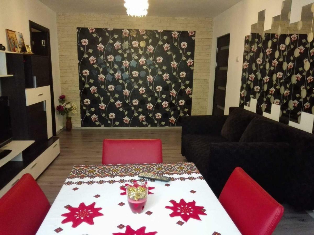 דירות Orşova Apartament Ela Elegance מראה חיצוני תמונה