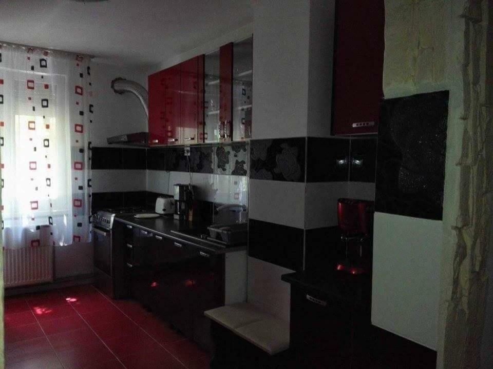 דירות Orşova Apartament Ela Elegance מראה חיצוני תמונה