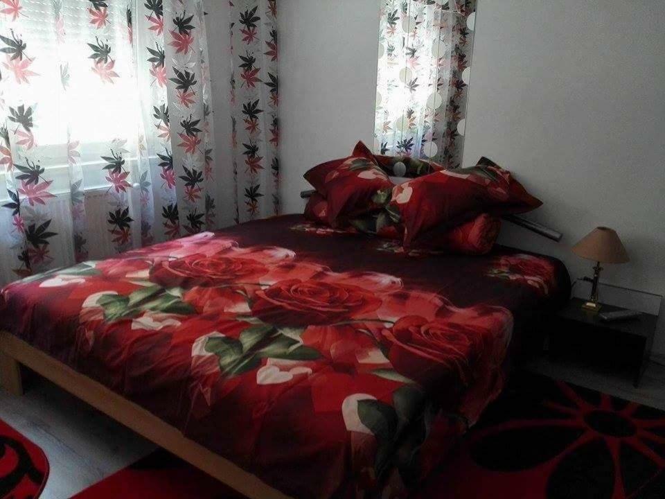 דירות Orşova Apartament Ela Elegance מראה חיצוני תמונה