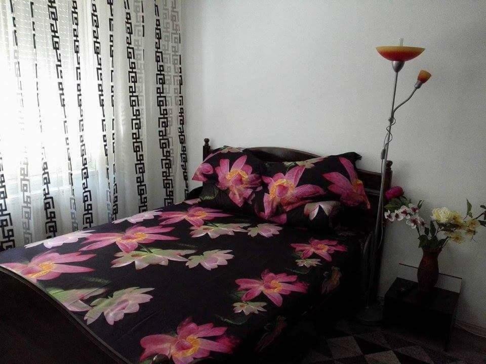 דירות Orşova Apartament Ela Elegance מראה חיצוני תמונה