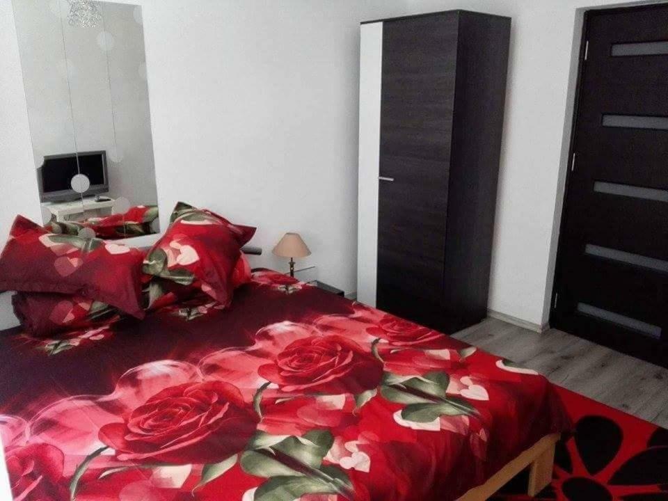 דירות Orşova Apartament Ela Elegance מראה חיצוני תמונה
